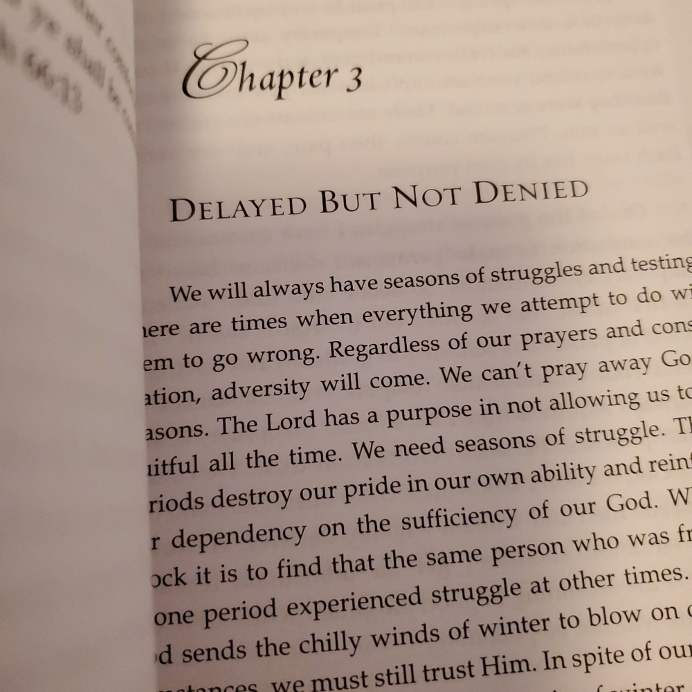 Can You Stand To Be Blesssd. TD Jakes - Picture 4 of 9